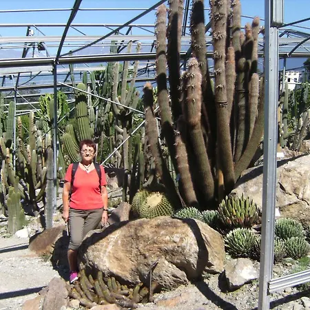 Zum Siebenschlaefer בית חווה