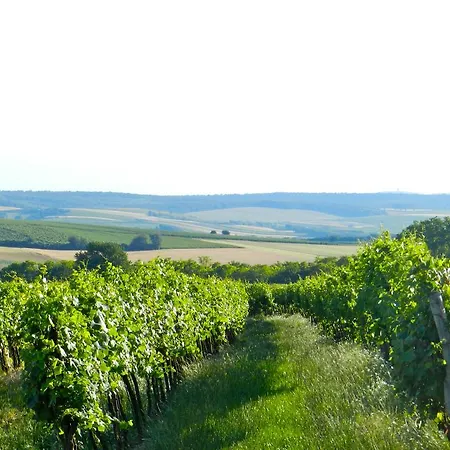 Farm stay Zum Siebenschlaefer