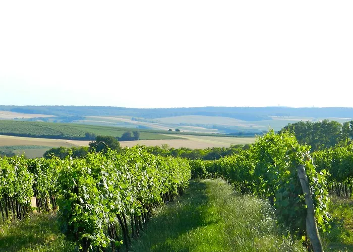 Gospodarstwo agroturystyczne Zum Siebenschlaefer