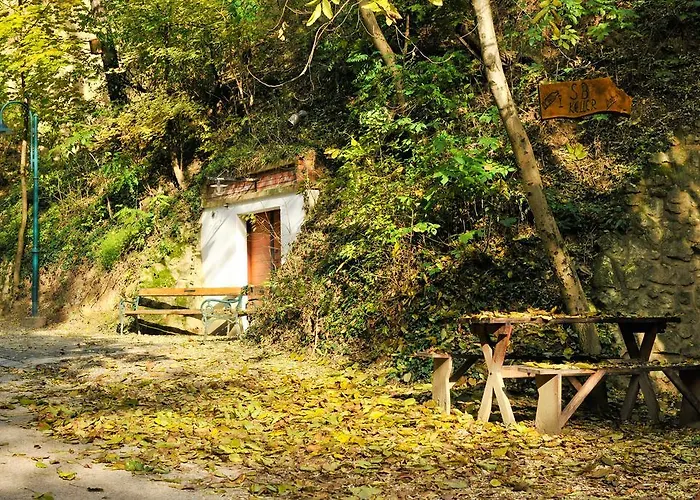 Zum Siebenschlaefer * Herrnbaumgarten